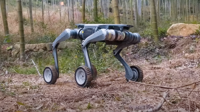 chinese_robot_dog