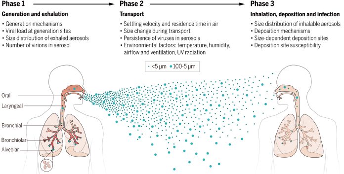 respiratory_illness1