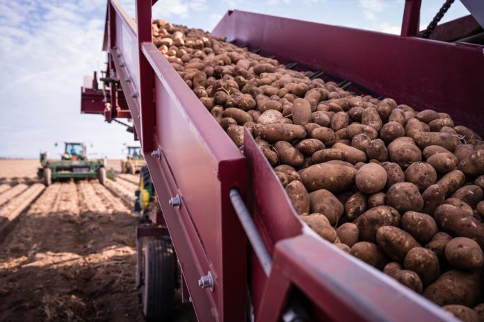 potato-harvesting-background-image-1980x1320